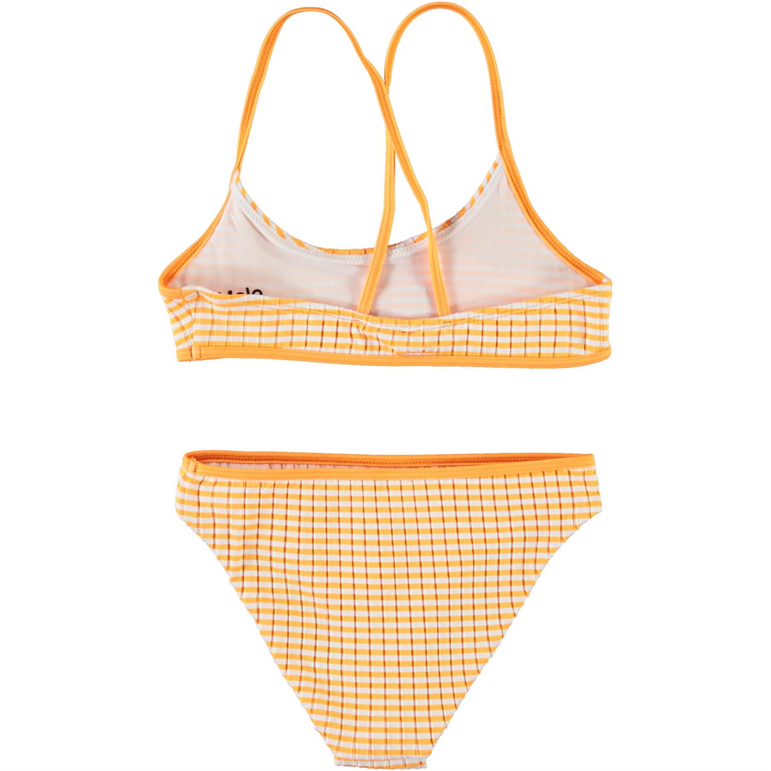 Neddy - Orange Stripe