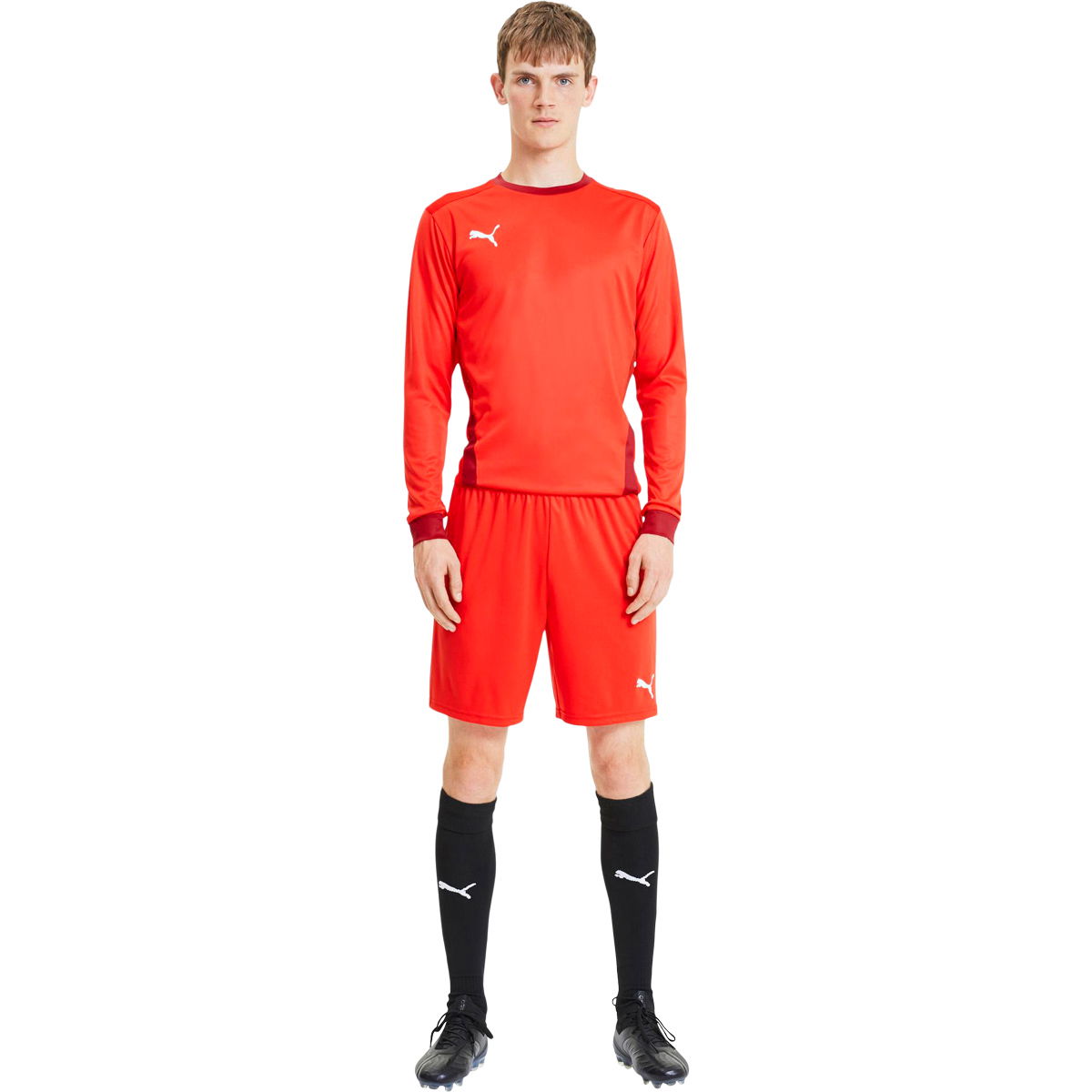 Puma teamGOAL 23 Knit Træningsshorts Herre