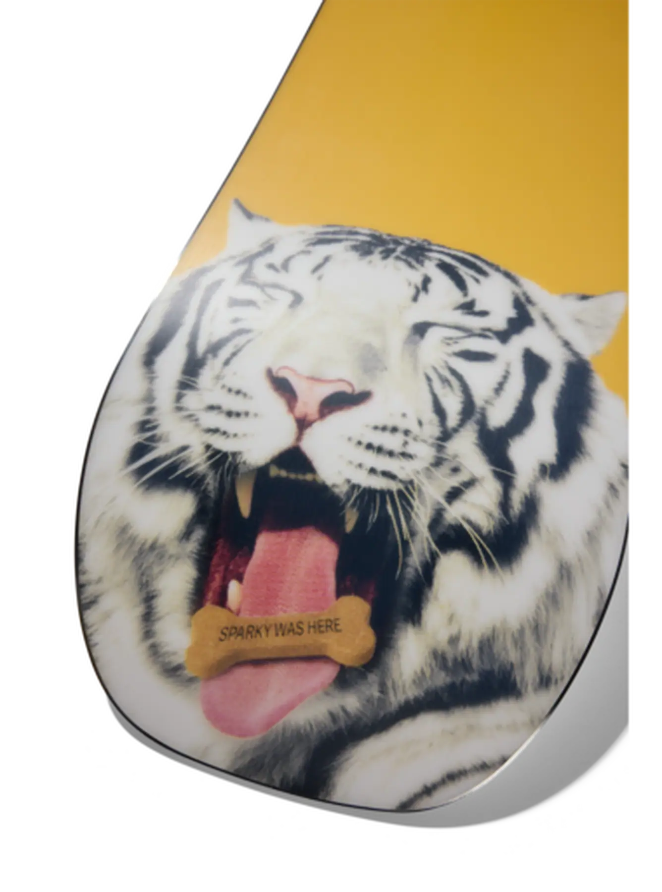 Burton Process Snowboard | SkatePro