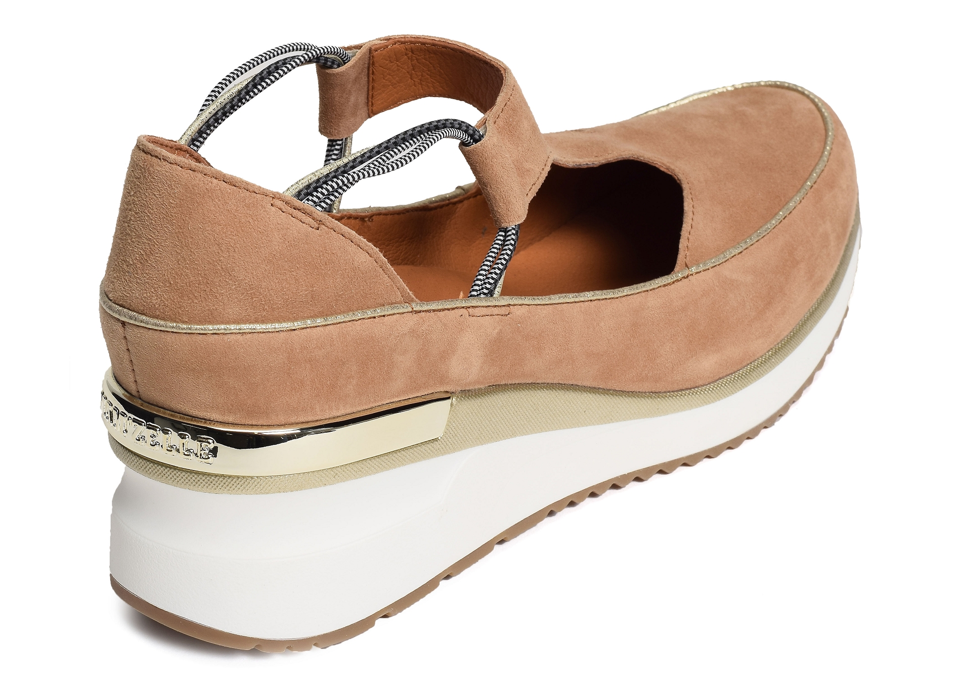 Vasas camel