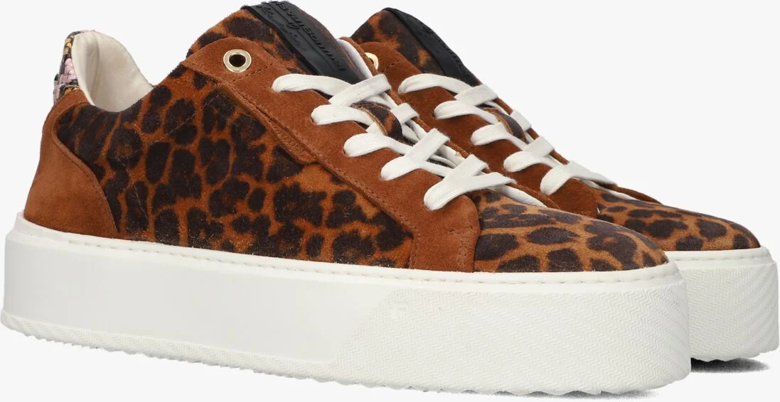 FLORIS VAN BOMMEL cognac floris van bommel lage sneakers sfw-10105