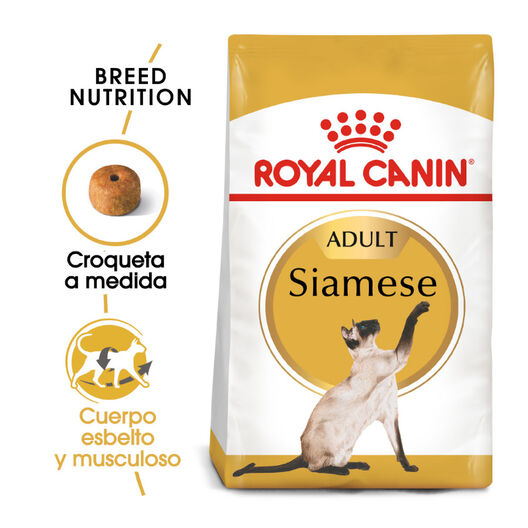 Ração Royal Canin para gatos siameses adultos