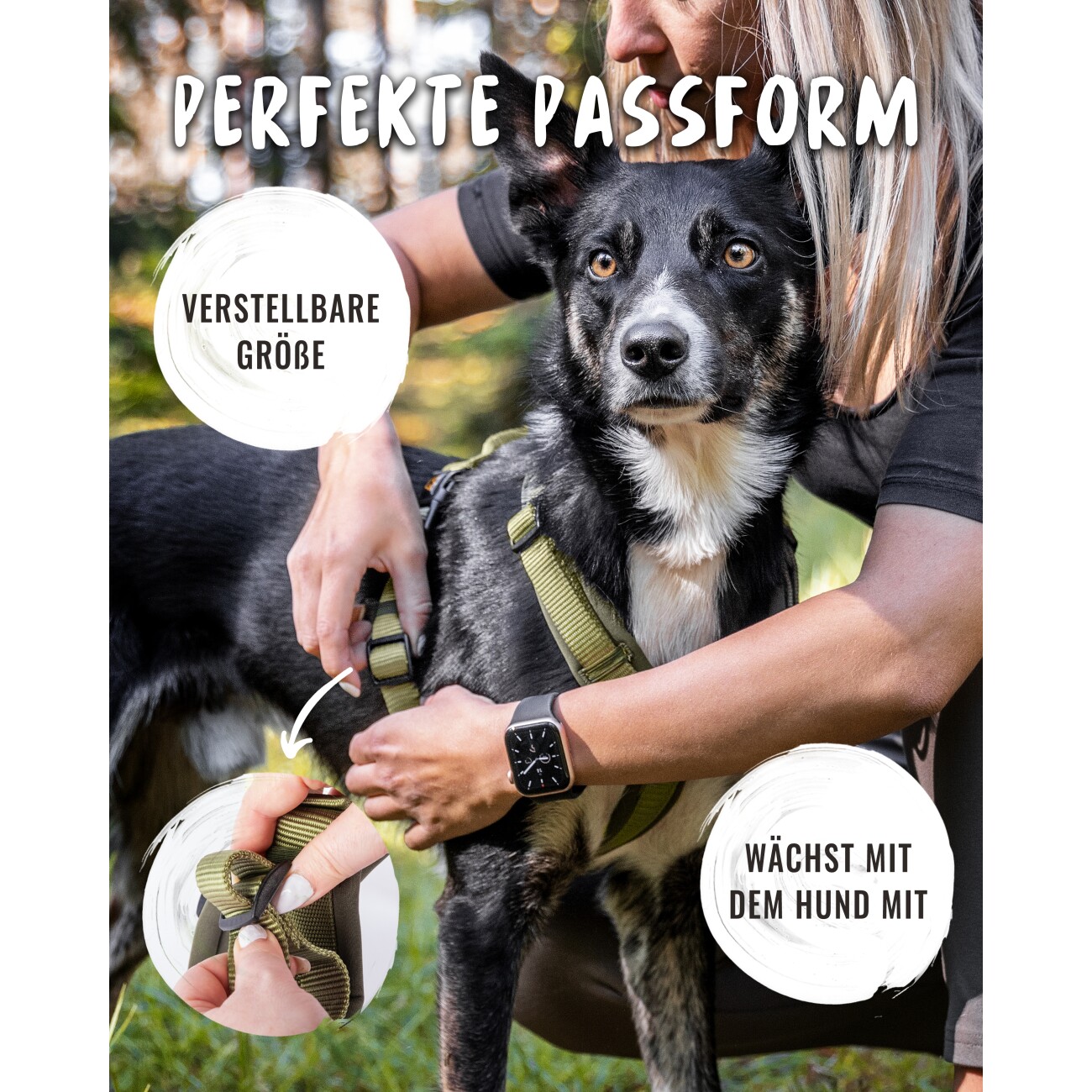 Rudelkönig Hundegeschirr - Gepolstertes Brustgeschirr grün S