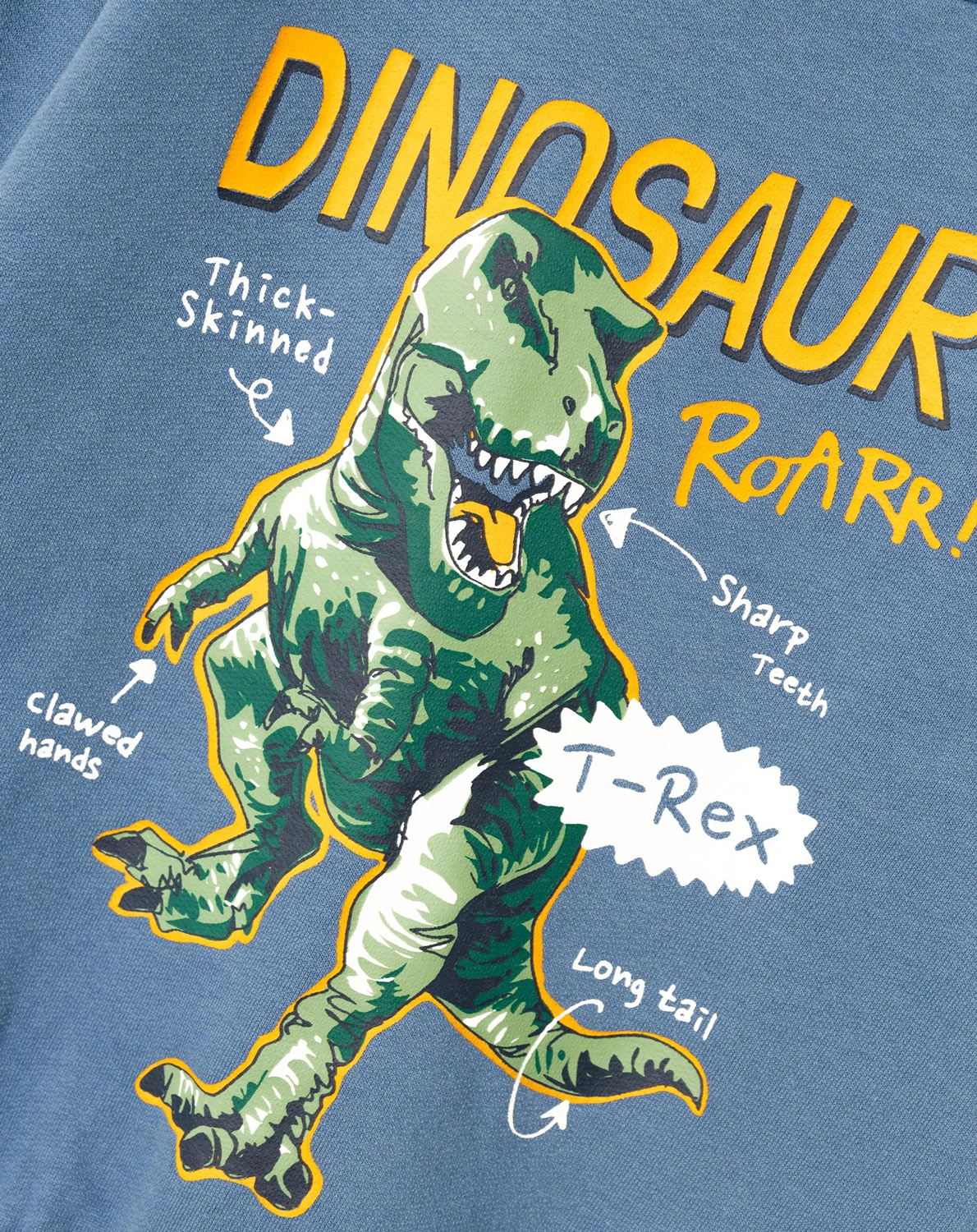 Sweatshirt NMMVILDAR DINO in bijou blue