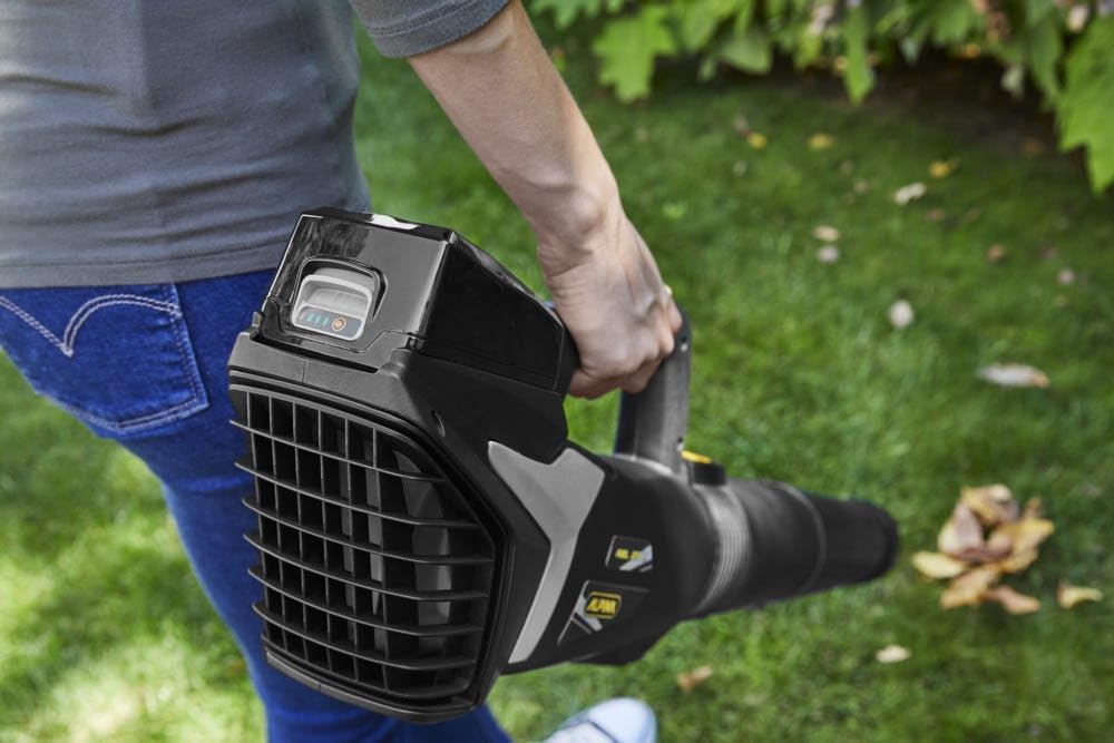 Alpina Akku-Laubbläser ABL 20 Li Kit, Für einen gepflegten Garten, 20 V (4 Ah) Akku, 280 W, Platzsparend abnehmbares Rohr, Inkl.Akku und Ladegerät.