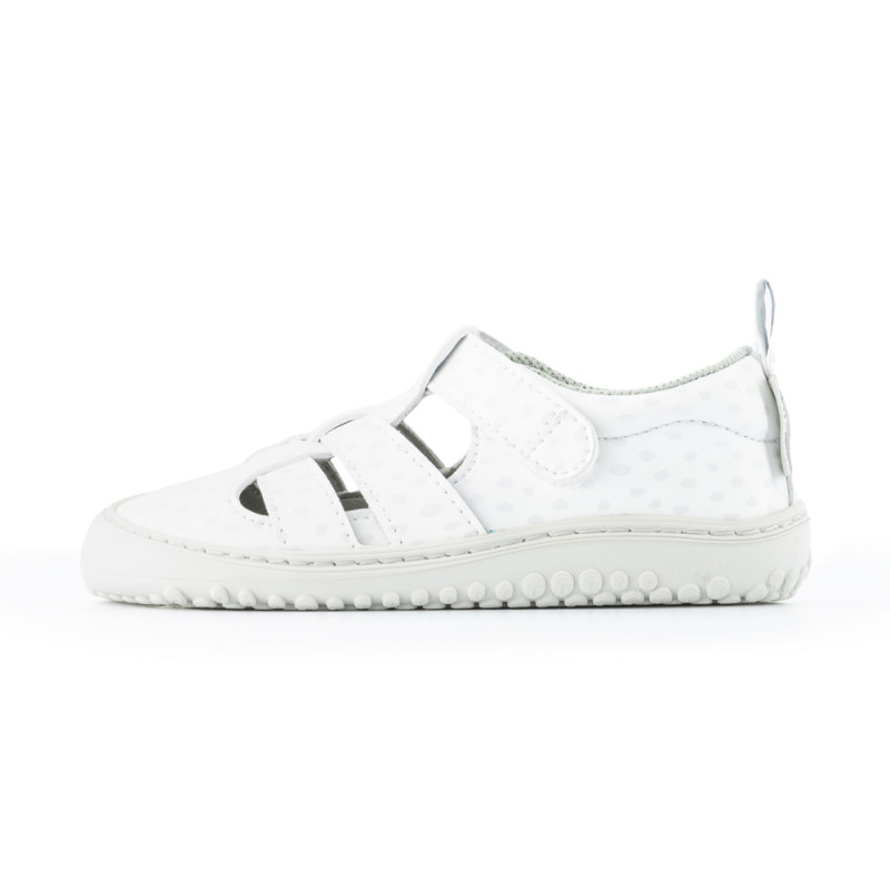 Zapato feroz Zapato Feroz Rockers Irta Ulises Blanco