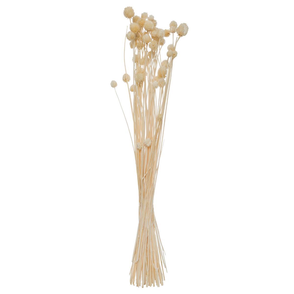 BOUQUET SECHE