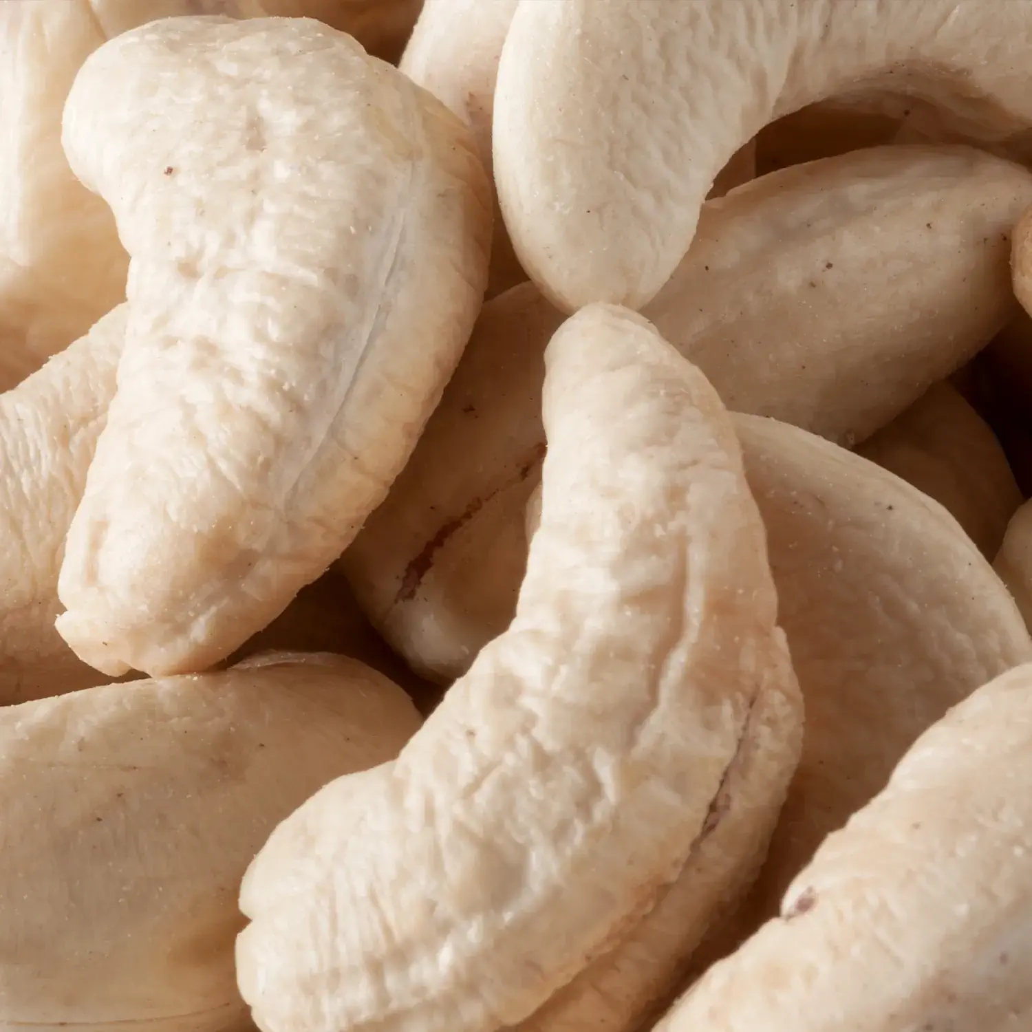 Cashewkerne, Großpackung