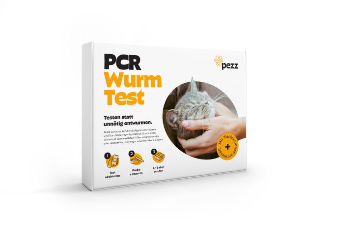 Katzen Wurmtest PCR