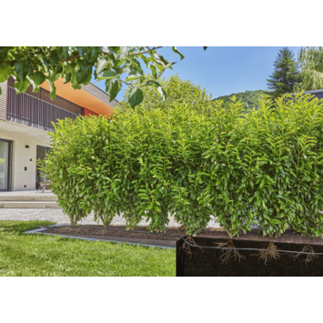 Gardena Micro Drip druppelbuis 50 meter ondergronds en bovengronds