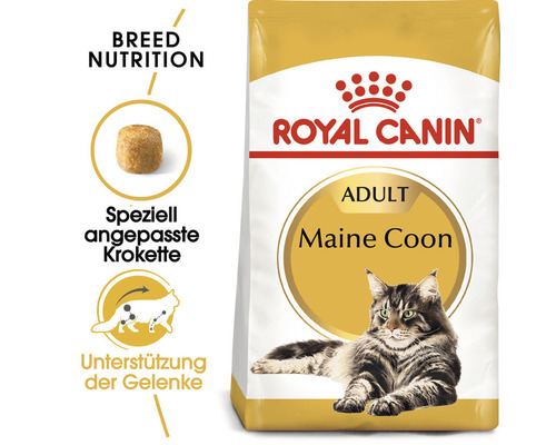 ROYAL CANIN Adult Maine Coon droog kattenvoer 4 kg