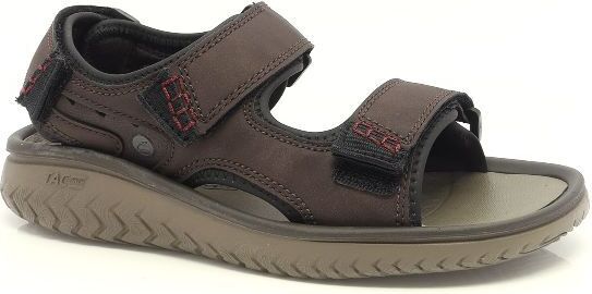 81245 CLARKS
