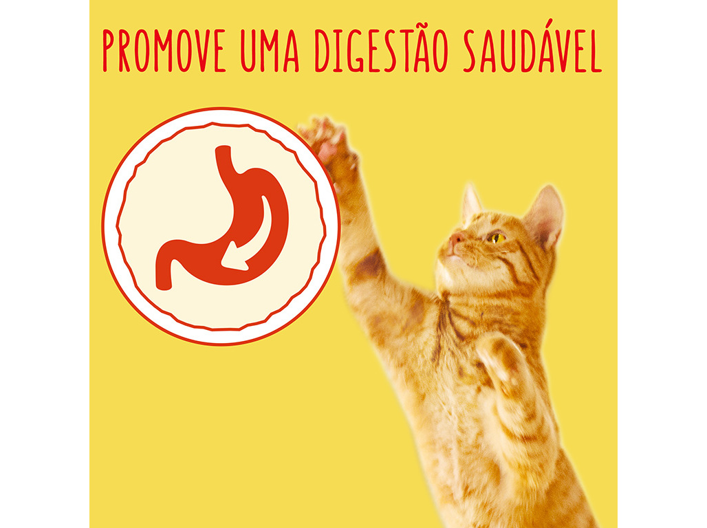 RAÇÃO GATO FRISKIES SALMÃO 4KG
