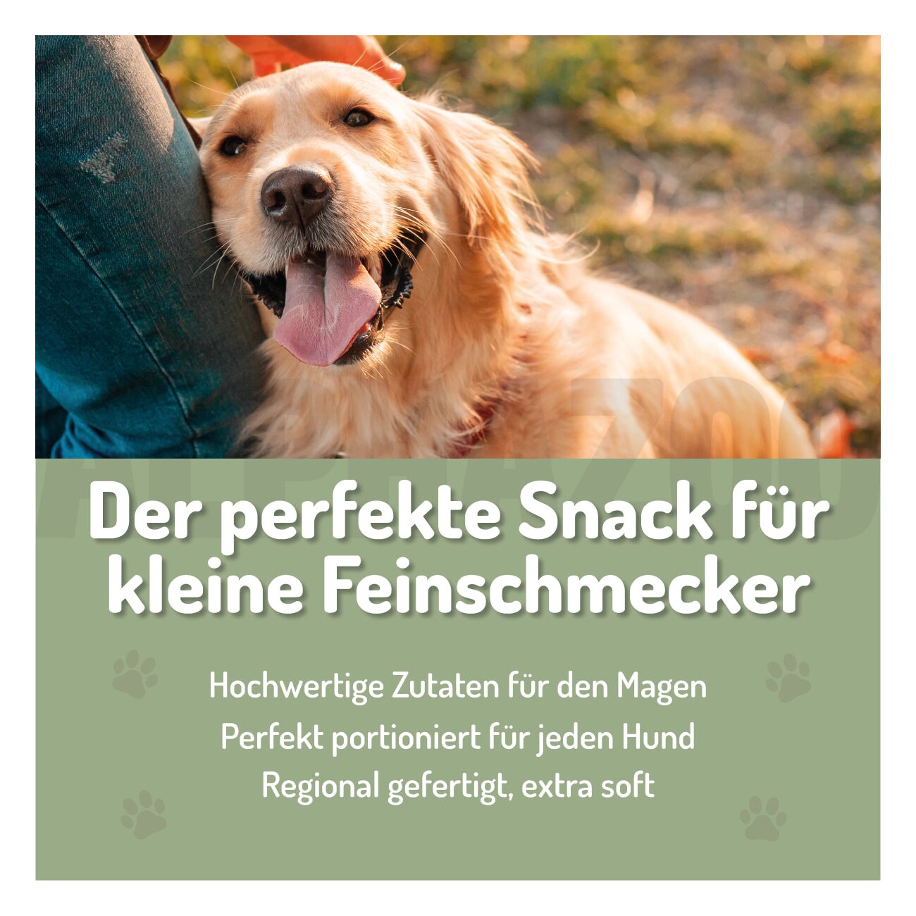 ALPHAZOO Fauchi Bauchi 60g I Funktionssnack für Magen & Darm