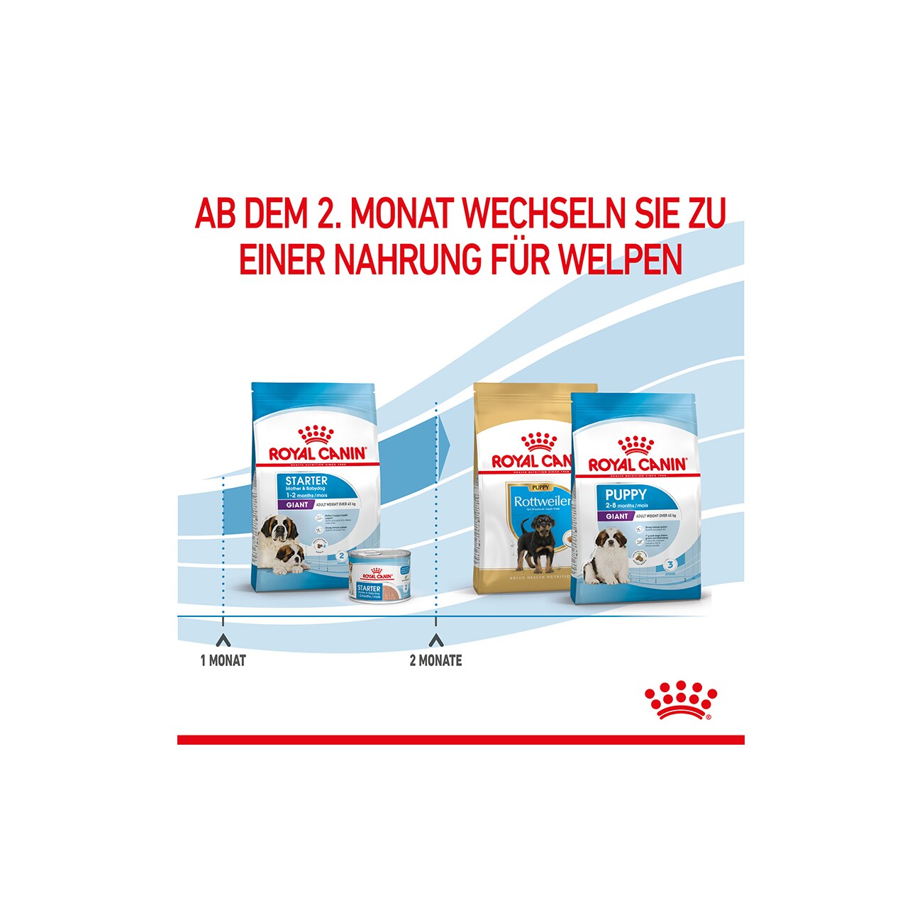 ROYAL CANIN Giant Starter 15kg