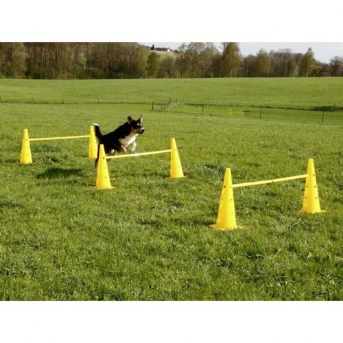 Equipamento de agilidade para cães amarelos