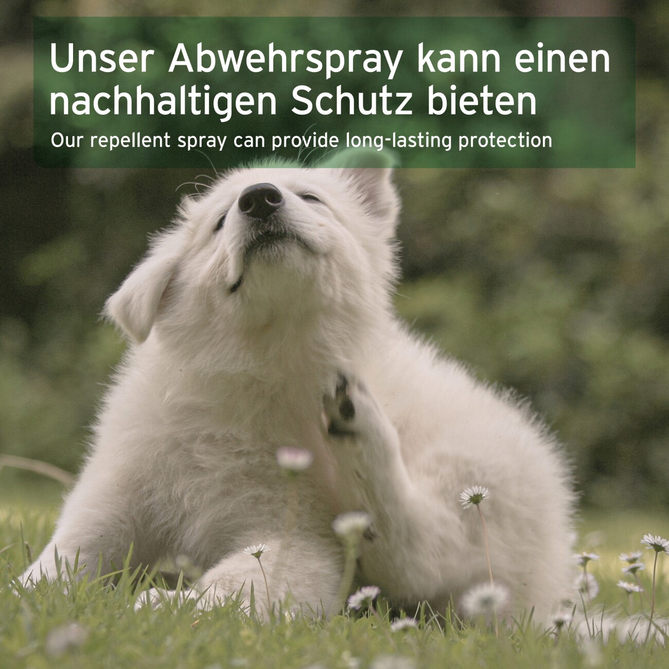 AniForte Grasmilben-EX Spray für Hunde 250ml