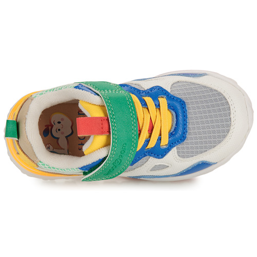 Shoo Pom - JOGGY SCRATCH - Multicolore