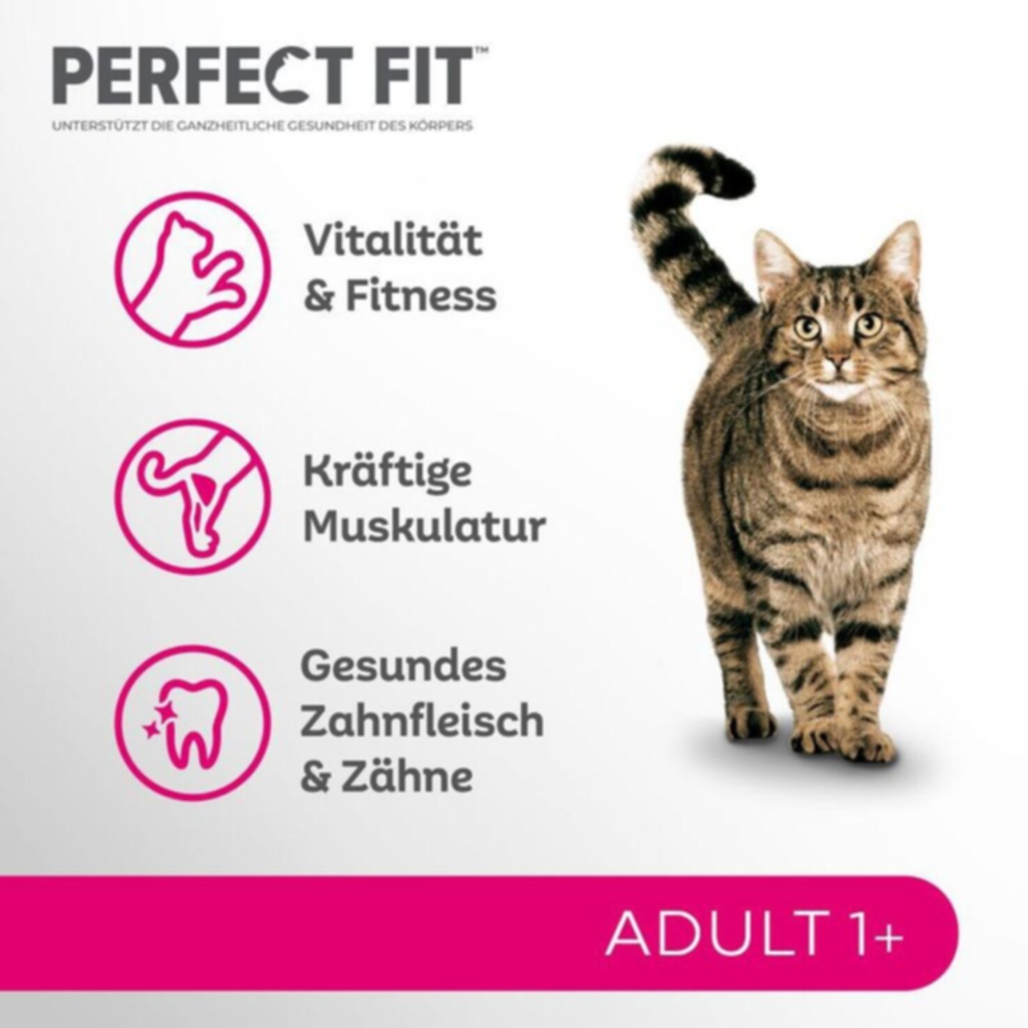 Perfect Fit Adult Huhn