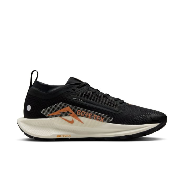 Nike Dame Trailsko Pegasus Trail 5 Gore-Tex Sort