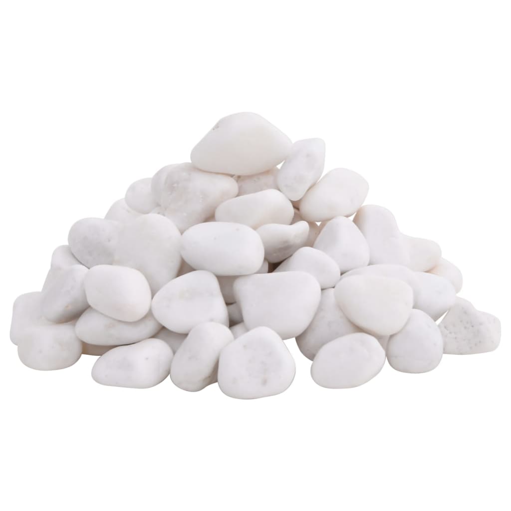 vidaXL Pedras Brancas Polidas 10 kg 2-5 cm