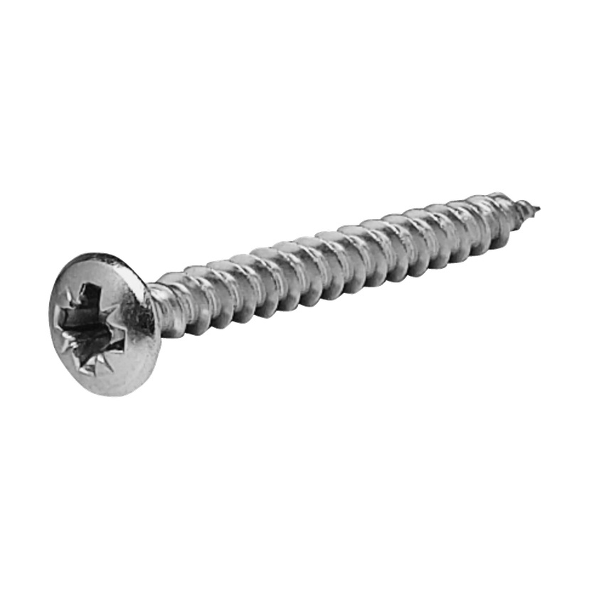 VVS-skruer 10-pk 5,5x75 mm