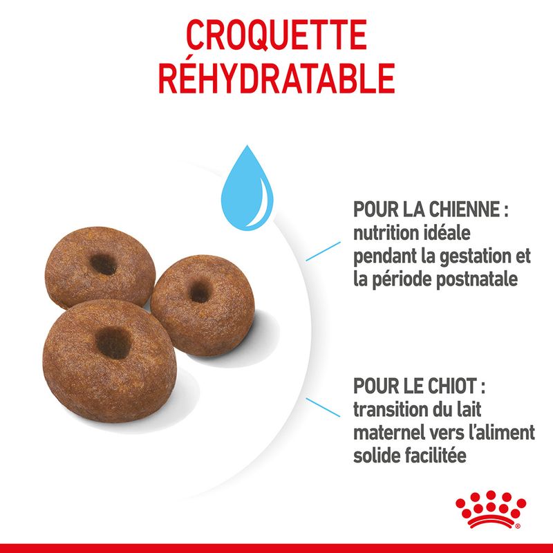 Royal Canin Giant Starter Mother & Babydog à prix discount sur bitiba.fr