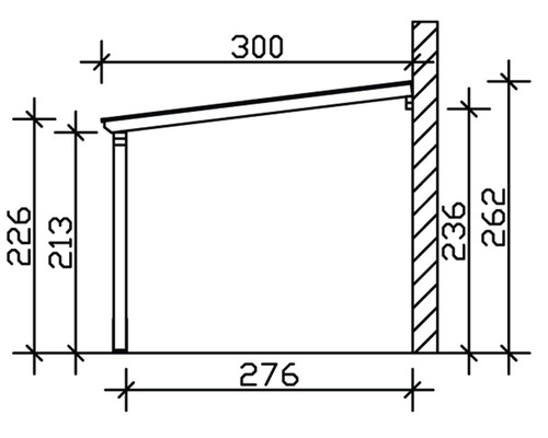 SKAN HOLZ Vogtland enkele carport met paalankers 300x541 cm licht eiken