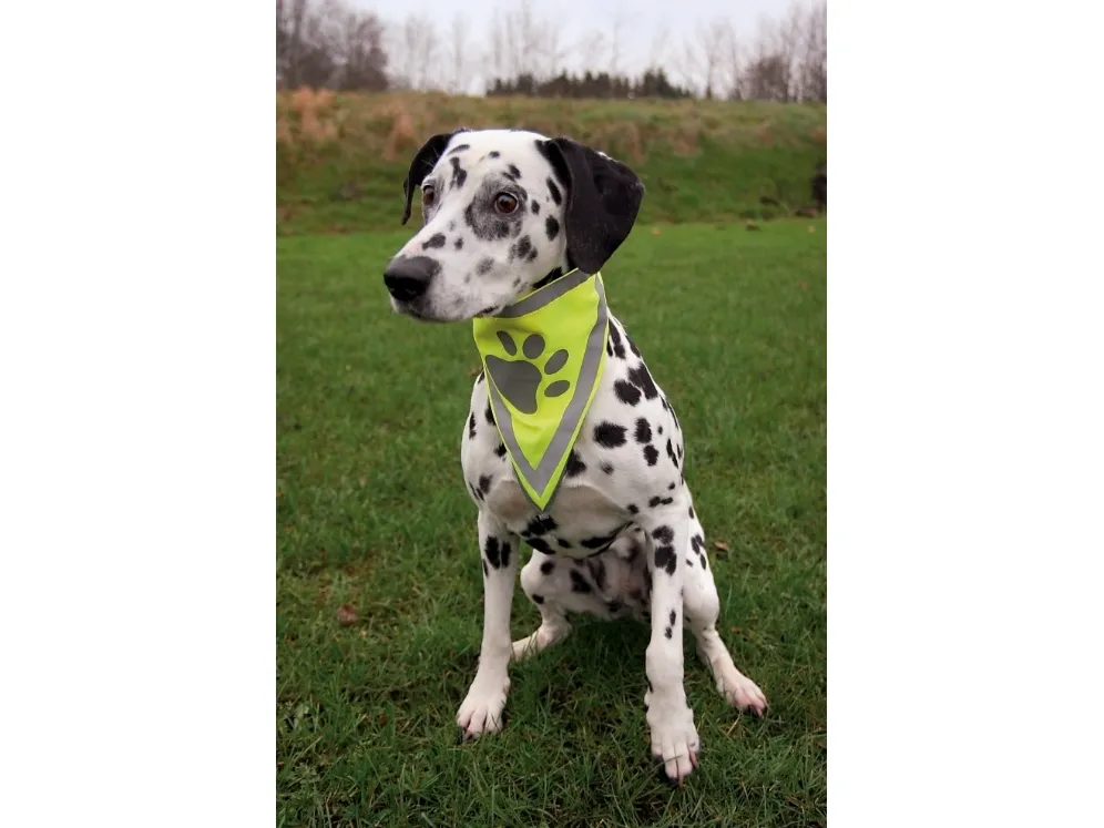 Trixie Bandana, reflekterende, 62 x 33