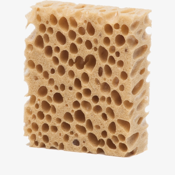 Scapino spons