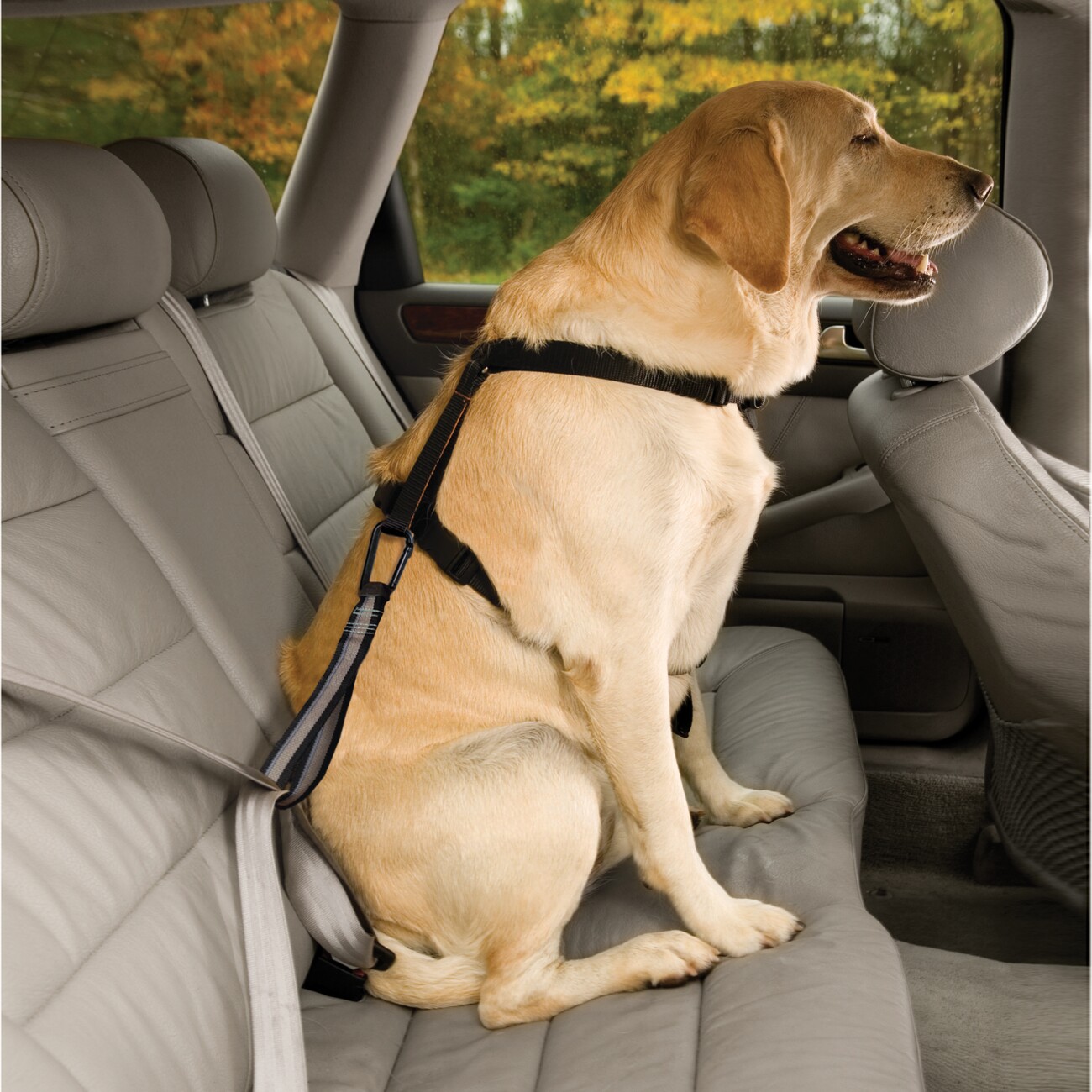 Kurgo Hundeauto-Sicherheitsgurtschlaufe