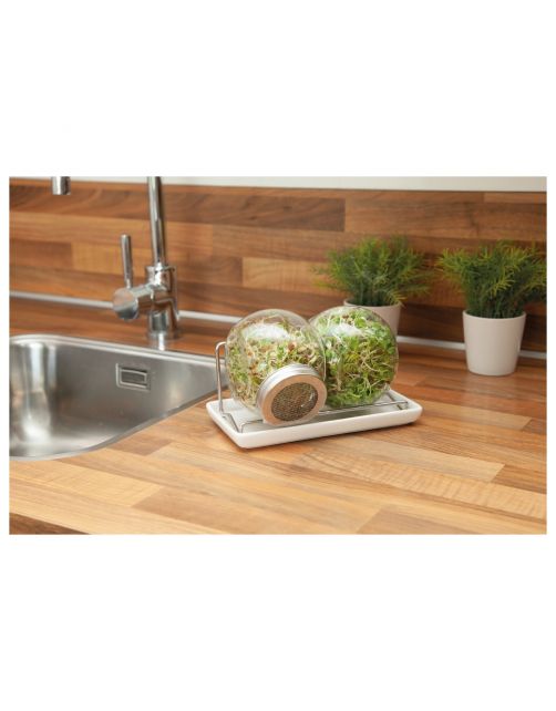 Buzzy Organic Sprouting Duo Pot Met Schaal Bio - Groentezaden - per stuk