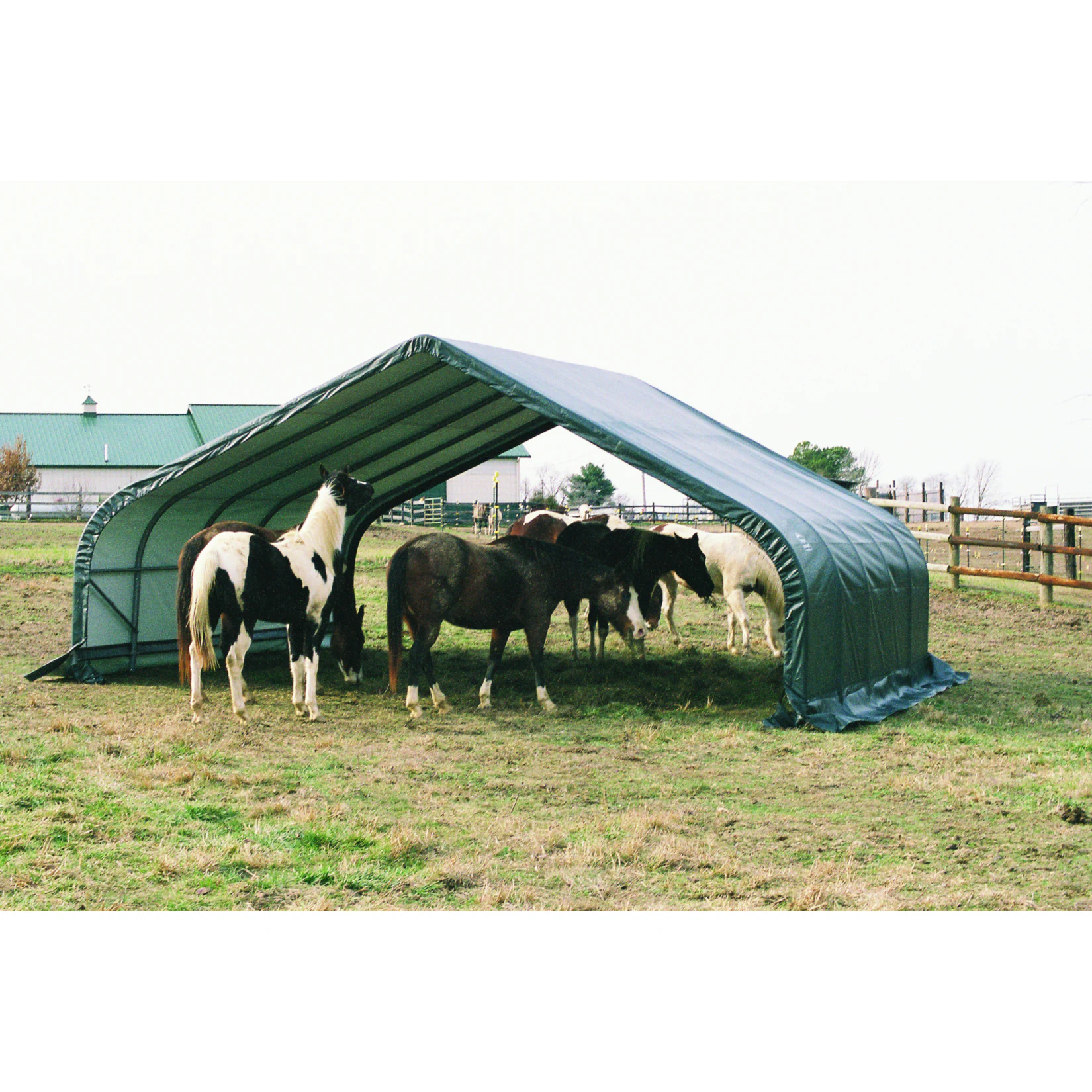 ShelterLogic Run-In-Weidezelt, 49,6m², 680x730 cm
