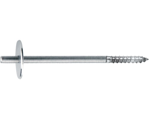 RVS-schroefdraadbout met ring Ø38/M 8, 8/180