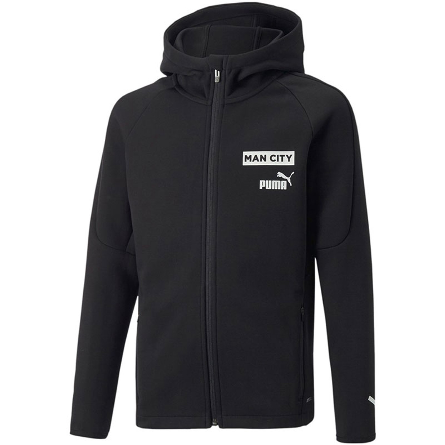 Puma Manchester City Casuals Trainingspak Kids