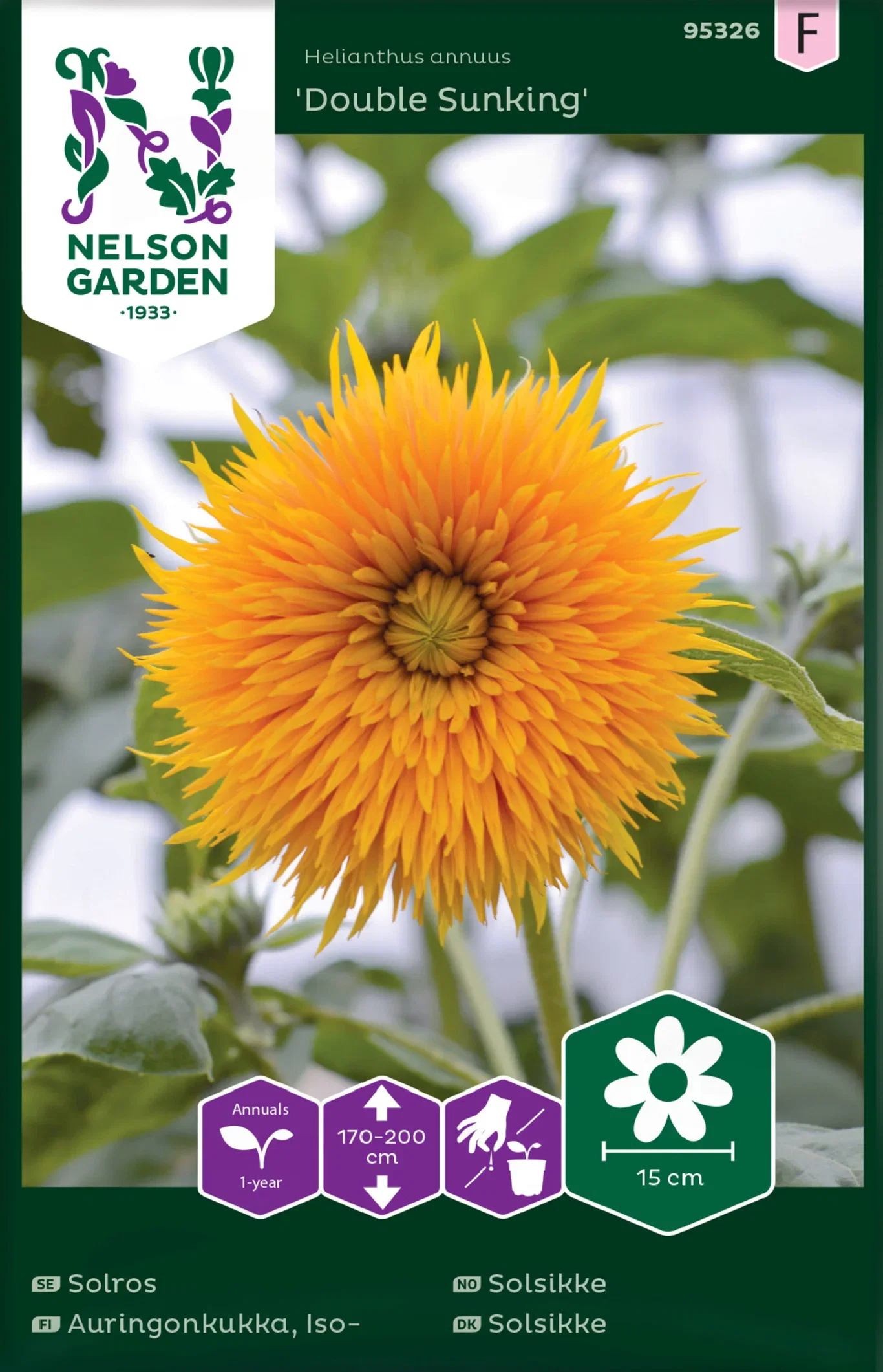 Helianthus annuus Solsikke 'Double Sunking'