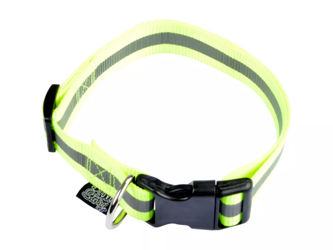 Collier Pour Chien 