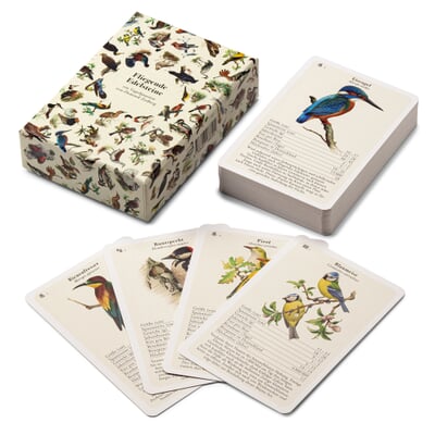 Vogelquartett mit Vogelstimmen