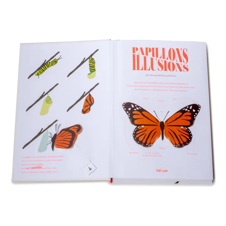 Helium Livre Papillons Illusions - B. Duisit & J. Brouant