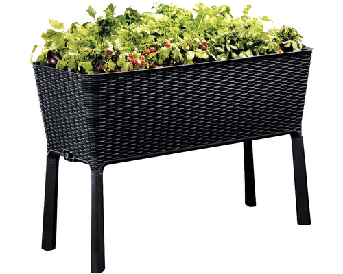 Keter Easy Growing verhoogde tuinbak op palen, 114 x 49,3 x 75,7 cm, antraciet
