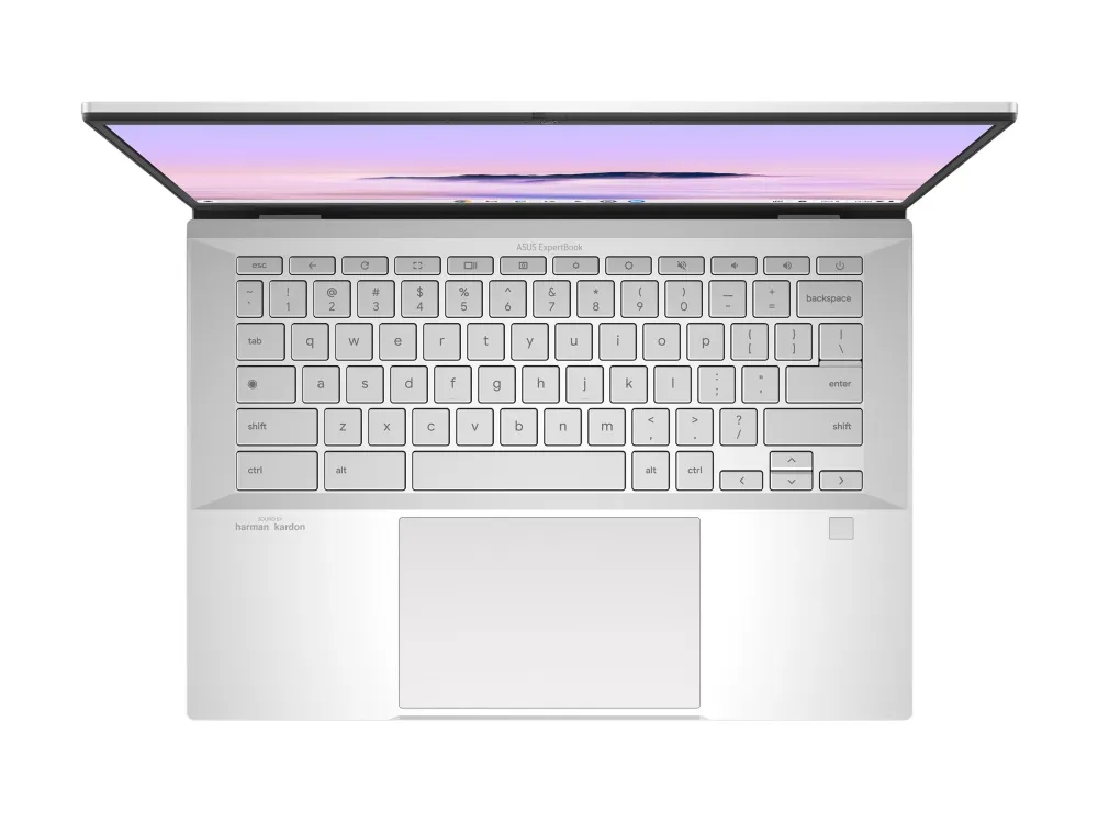 ASUS ExpertBook CX54 Chromebook Plus CX5403CMA-QM0166W - 180° hængselsdesign - Intel Core Ultra 5 - 115U / op til 4.2 GHz - Chrome OS - Intel Graphics - 8 GB RAM - 128 GB SSD NVMe - 14