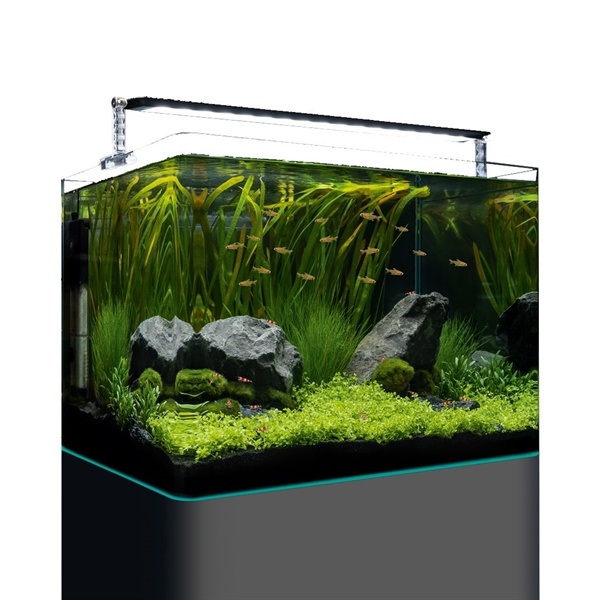 Dennerle Nano Tank Plant Pro 70L | Aquarium