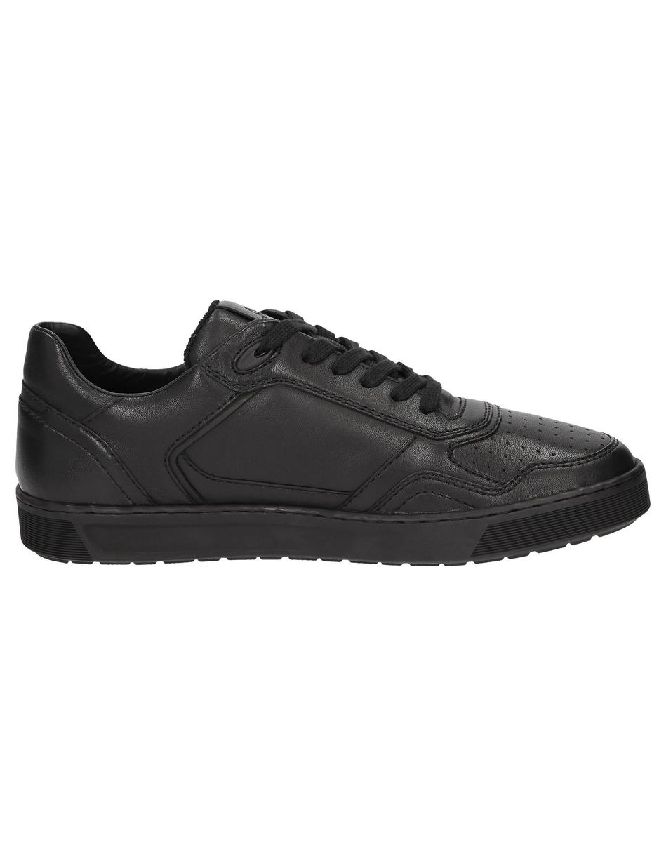 Sneaker Tedroso-704