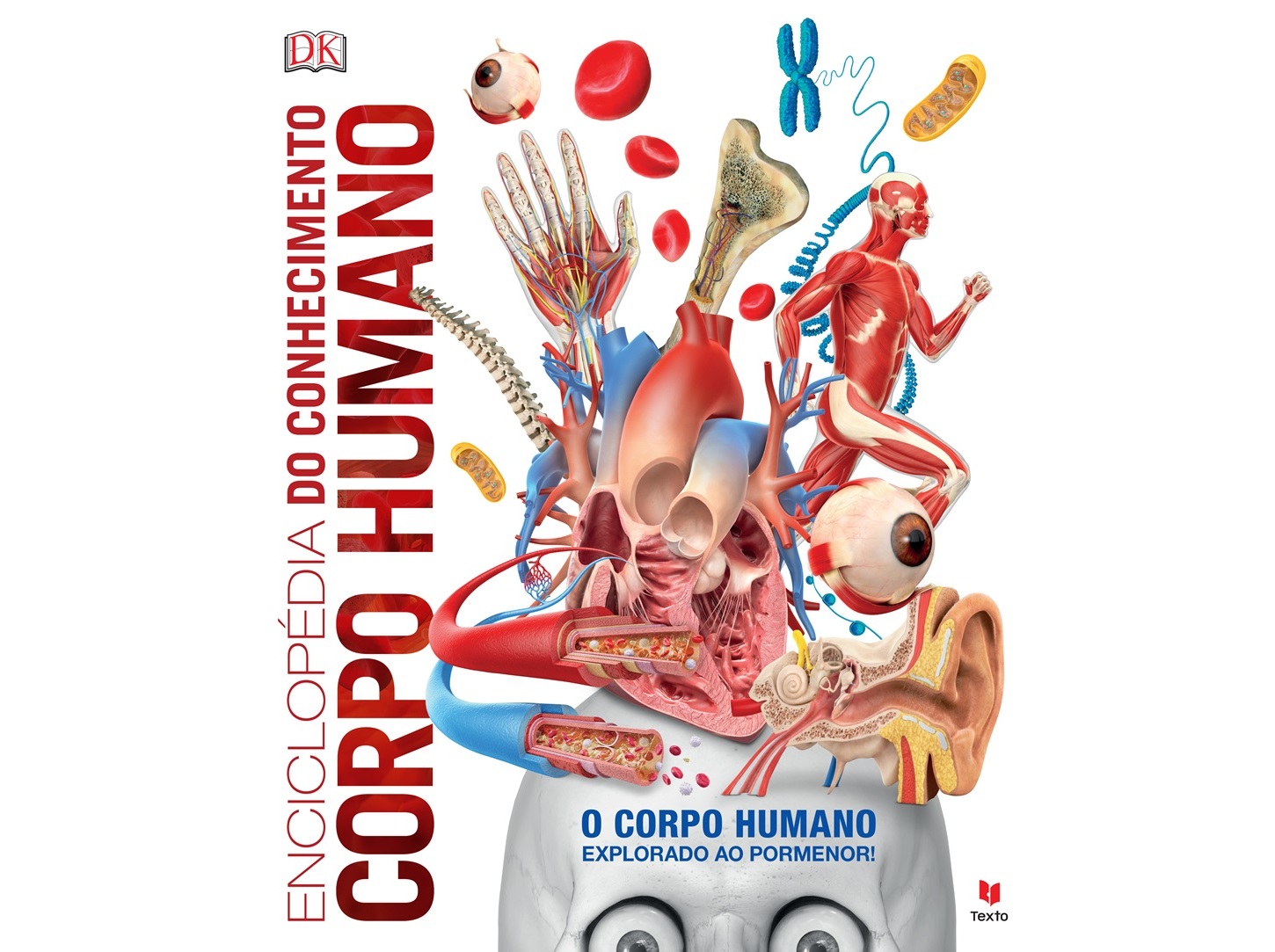 LIVRO ENCICLOPEDIA CONHECIMENTO - CORPO HUMANO