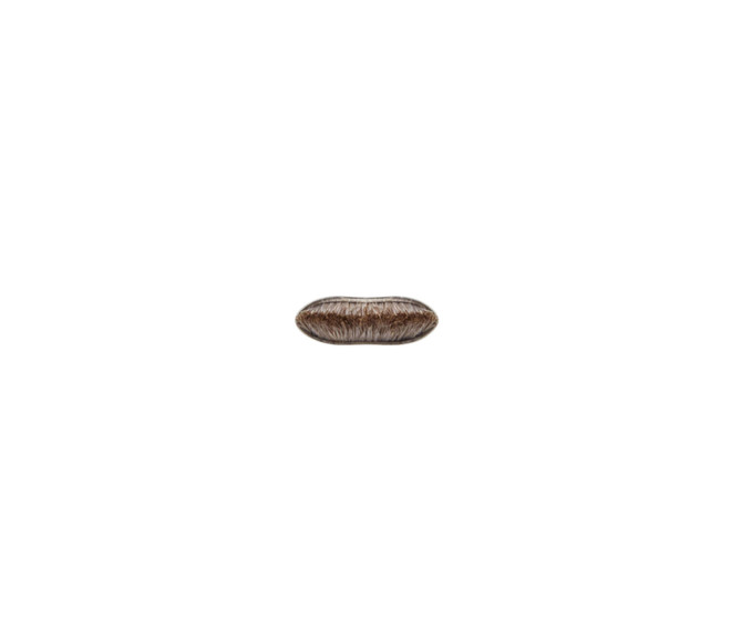 M•A•C Brushes #263 Small Angle