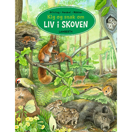 Kig og snak om liv i skolen