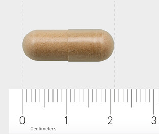 AOV 828 Salvia Extract Vegacaps 60VCP