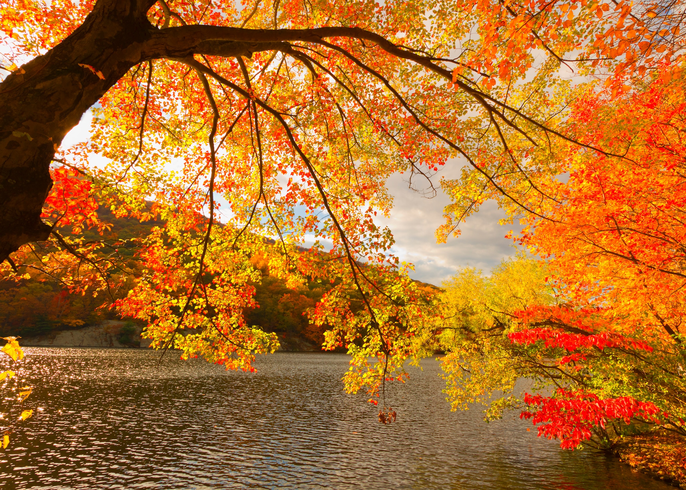 Papermoon Fototapete »Autumn Scenery« glatt