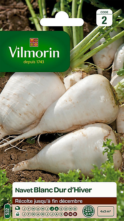 Graines de Navet Blanc Dur d'Hiver Vilmorin