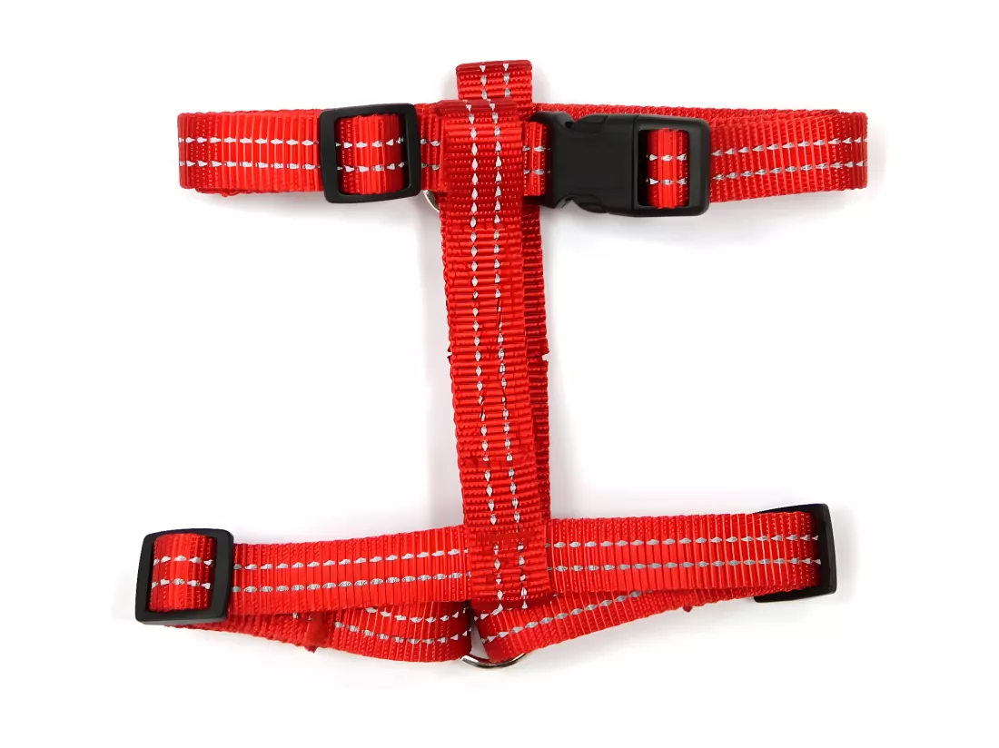 Harnais pour Chien 